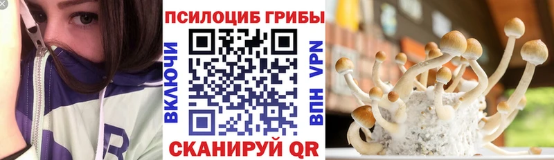 кракен ссылки  Городовиковск  Псилоцибиновые грибы MAGIC MUSHROOMS 